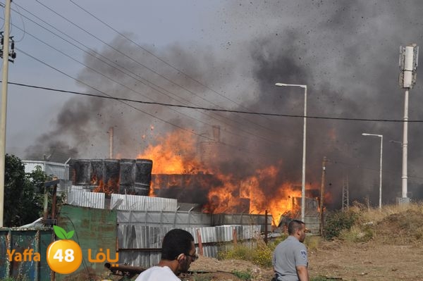 fireludkartoonmasna34 (27).JPG